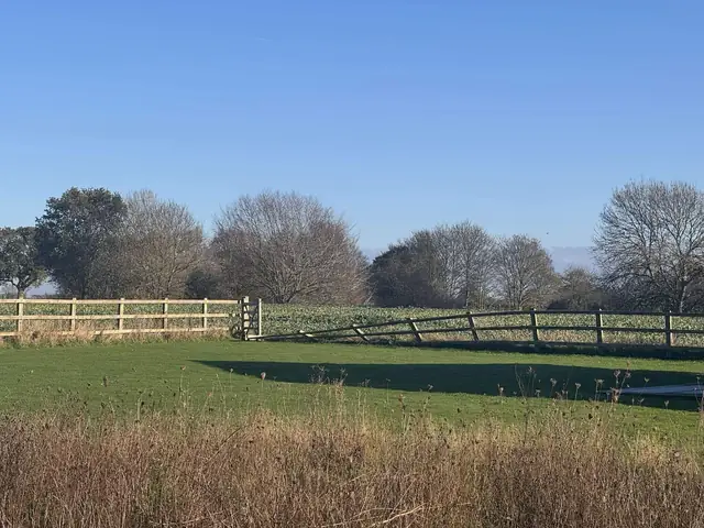 Timber post and rail fencing along the edge of a grass paddock